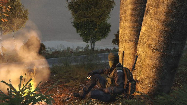 Kritik an den DayZ Status Reports