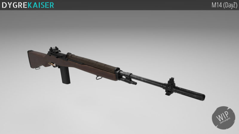 DayZ Plus M14