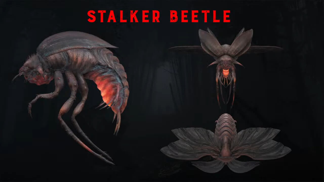 Hunt: Showdown - Stalker Beetle & Questlines in Update 1.10 - Survival ...